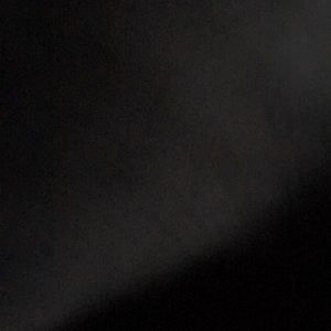 Meet your Posher, Toni